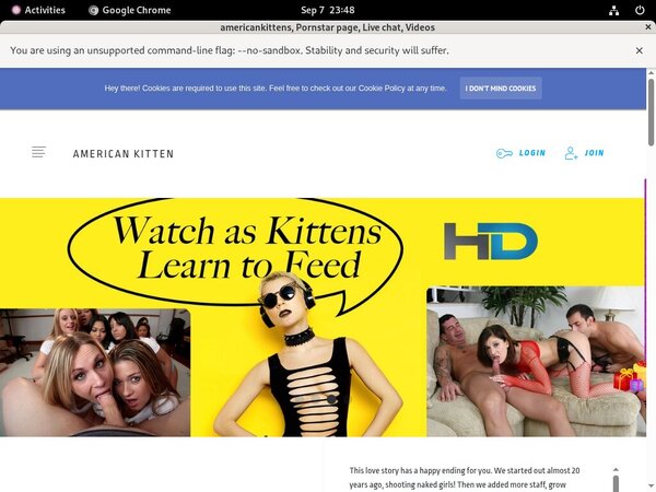 Acc For Americankittens