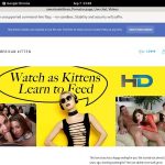 Americankittens With Prepaid Card