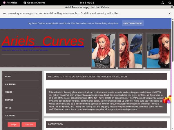 Ariel Hd Porn