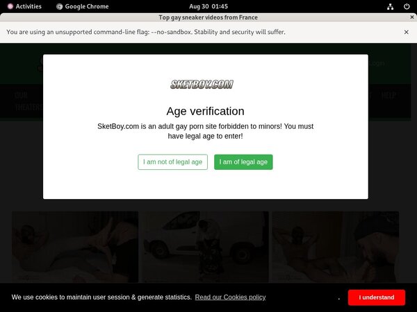 Boy Sket Passwords
