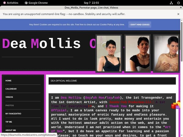 Deamollis.modelcentro.com Login Information Deamollis.modelcentro.com Login Information