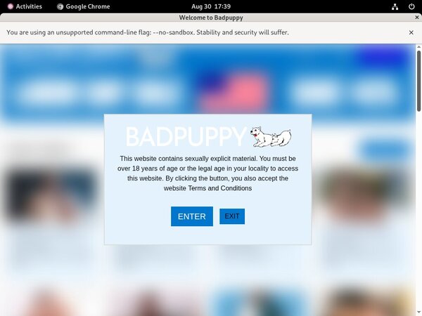 Discount On Badpuppy.com