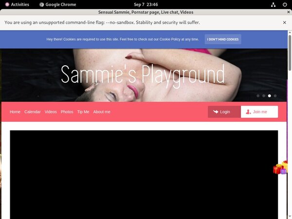 Dl Sammiesplayground.com Site Rip