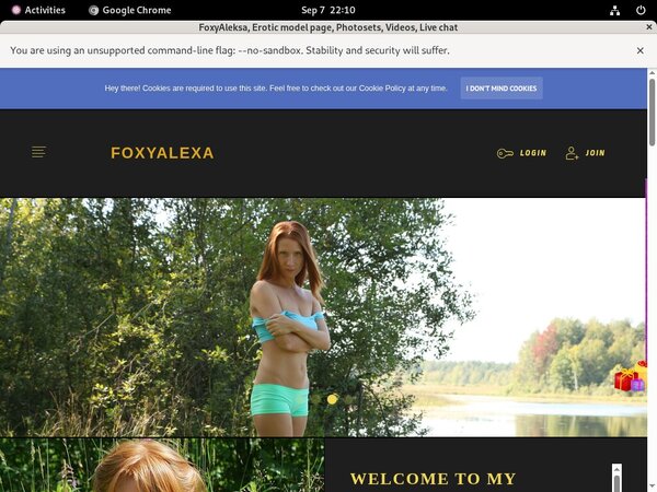 Foxyaleksa.com Password Info