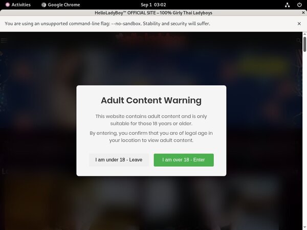 Free Full Helloladyboy Porn