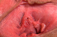 Free Gape My Pussy Logins s5