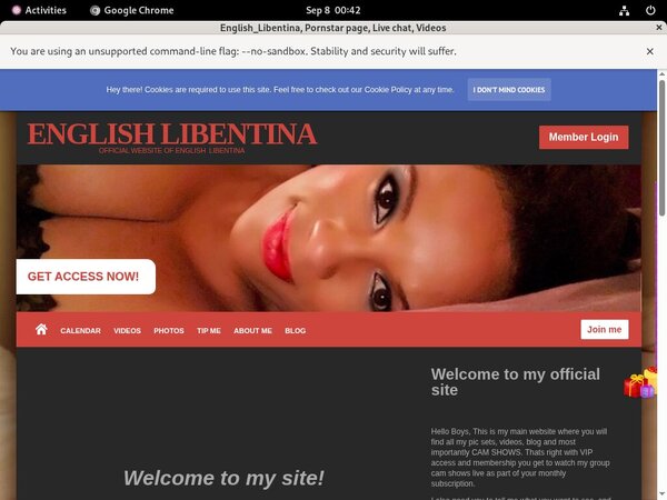 Free Login English_Libentina