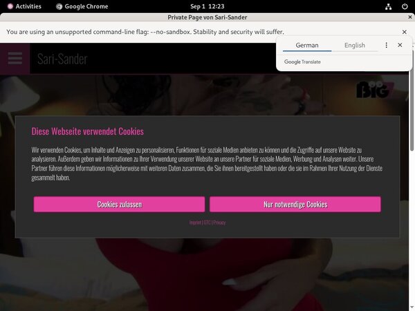 Free Logins For Sari Sander