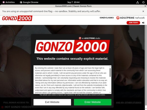 Free Watch Gonzo 2000