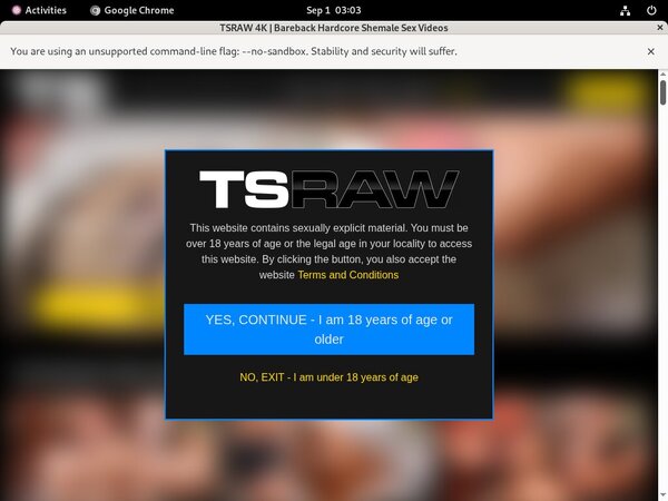 Free Watch TS Raw