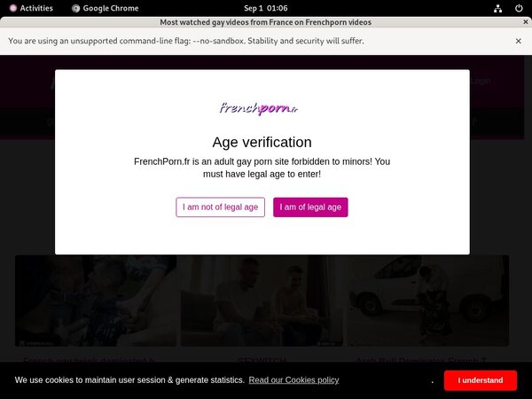 Frenchporn.fr Password Site
