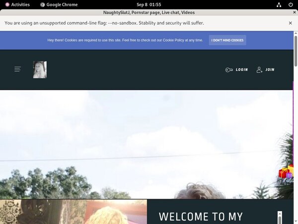 Get A Free NaughtySlutJ Login