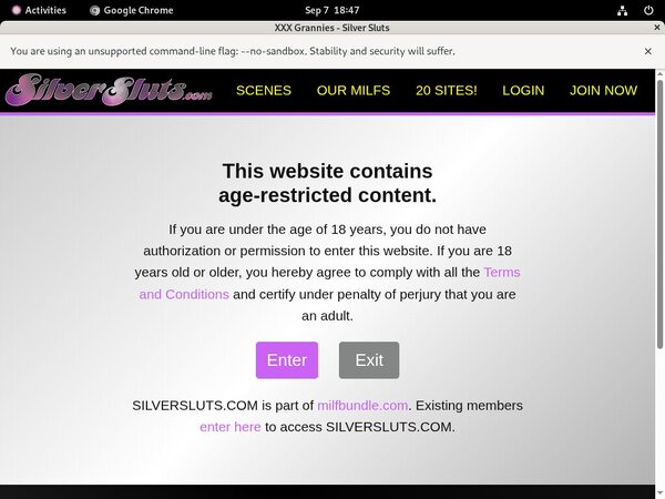 Get A Free Silver Sluts Account