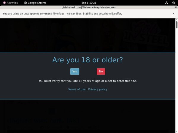 Girls In Steel Passwords For Free