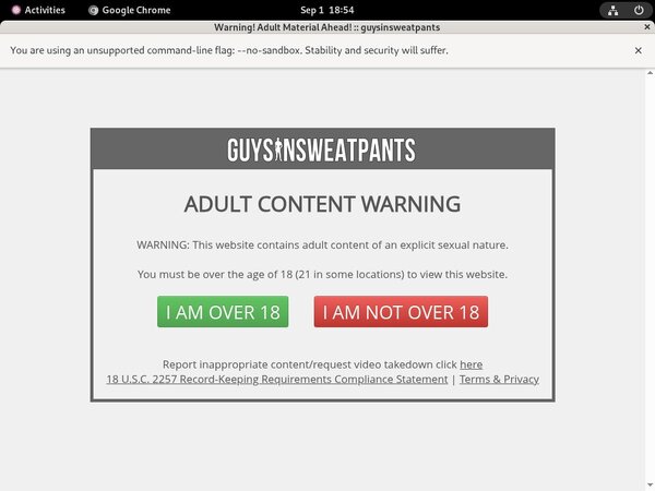 Guysinsweatpants.com Daily Accounts