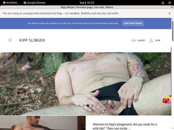 Kipp Slinger Price