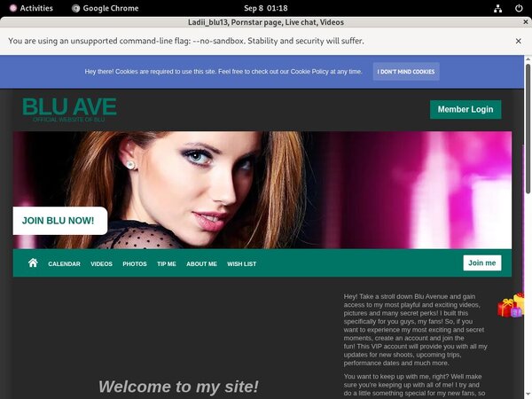 Ladii_blu13 Billing Page