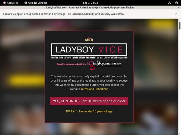 Ladyboy Vice Limited Offer