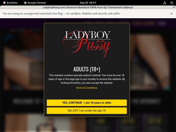 Ladyboypussy Pay With
