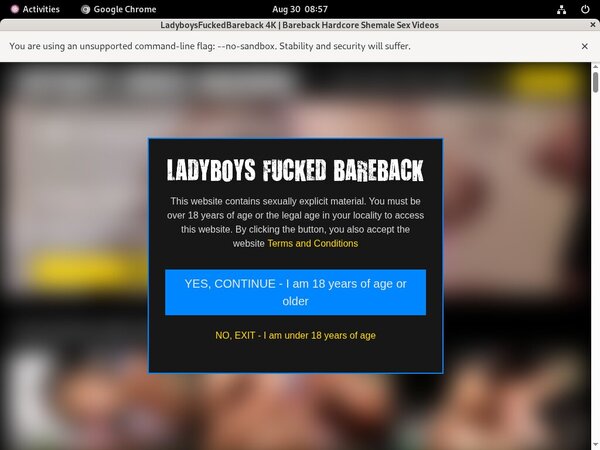 Ladyboys Fucked Bareback Full Scene