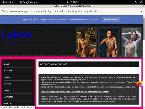 Lakea_Model Billing Form