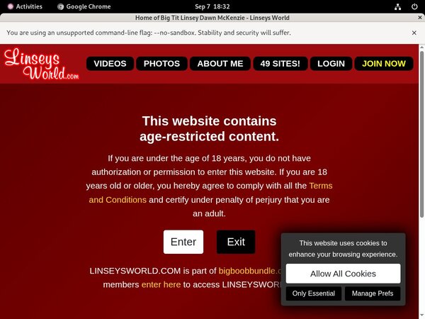 Linseysworld.com Clip Cash