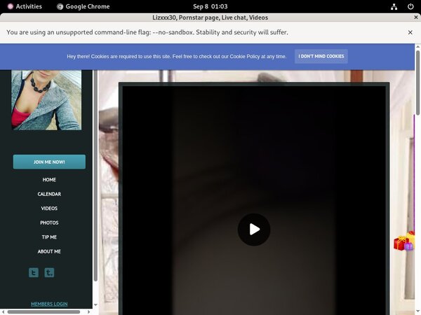 Lizxxx30 Free Accounts And Passwords