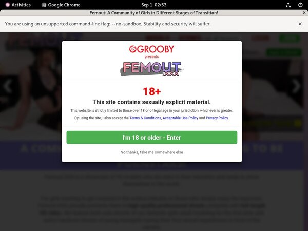 Log In Femout