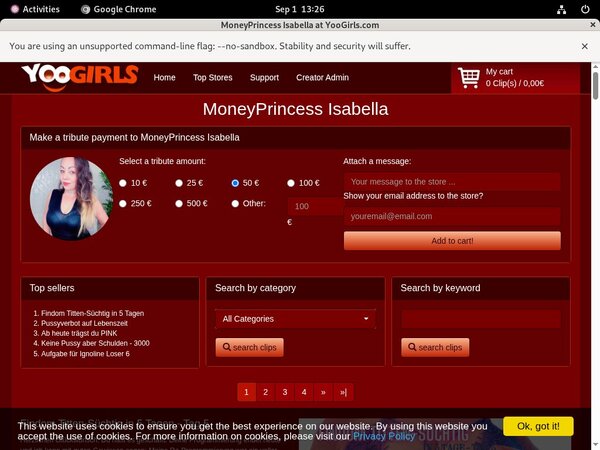 Moneyprincess Isabell Password Details