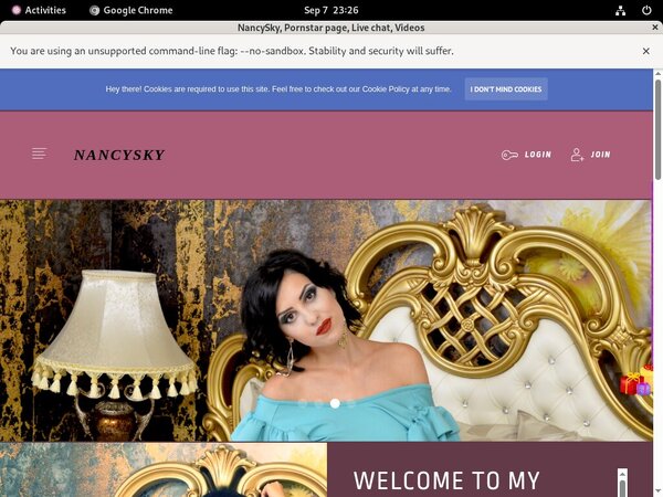 Nancysky.modelcentro.com Daily Passwords