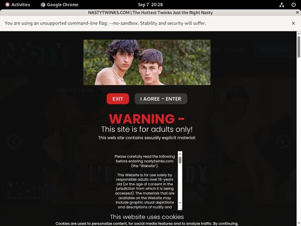 Nasty Twinks Account Blog