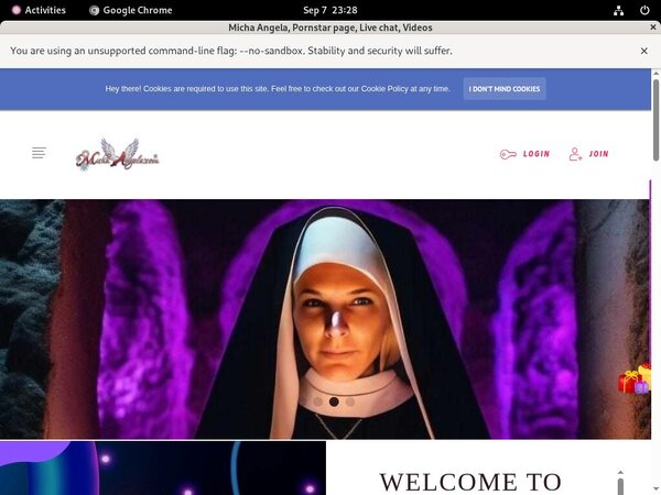 Passwords For Michaangela.com