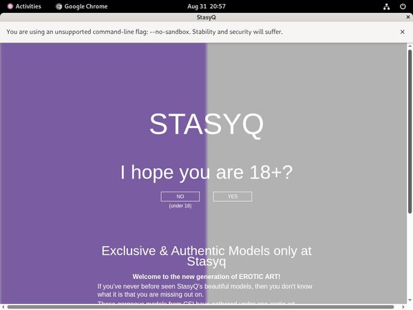 Passwords Stasy Q