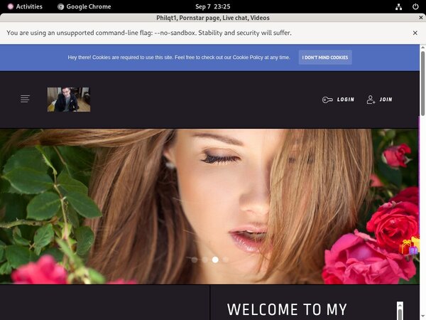 Philqt1.modelcentro.com Automatische Incasso