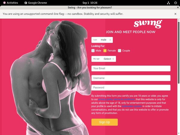 Swing.net Updated Passwords Swing.net Updated Passwords