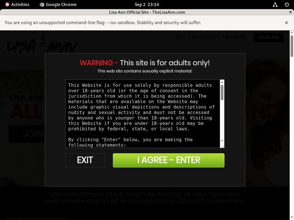 Thelisaann.com ????