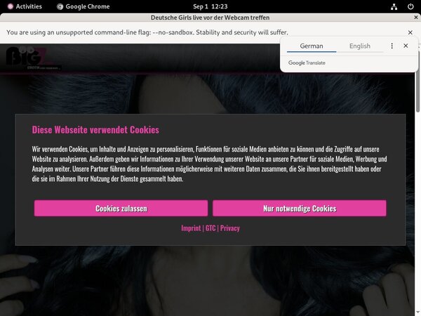 Tv Lanagiselle Passwords
