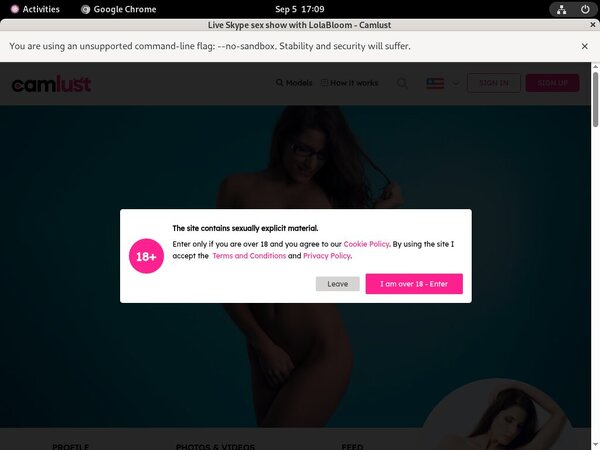 Valid Camlust.com Passwords