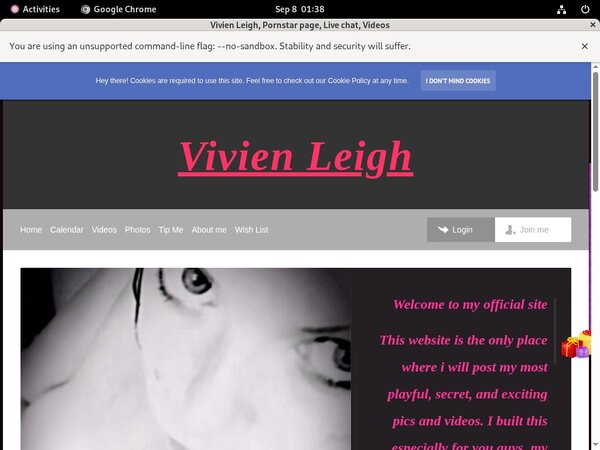 Vivienleighandme.modelcentro.com Sale