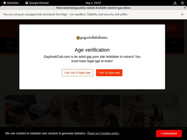 What Is Gayarabclub.com