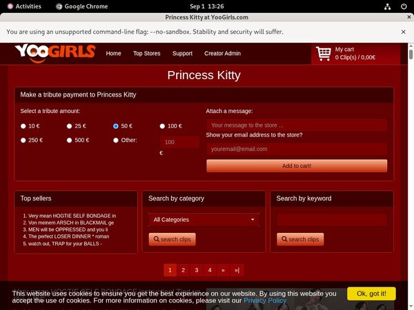 Working Princess Kitty Login