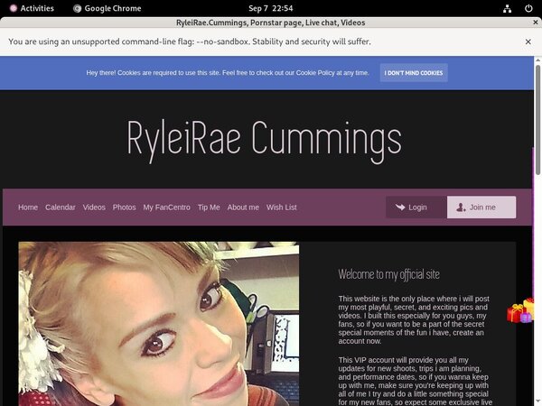 Working Ryleirae.modelcentro.com Login