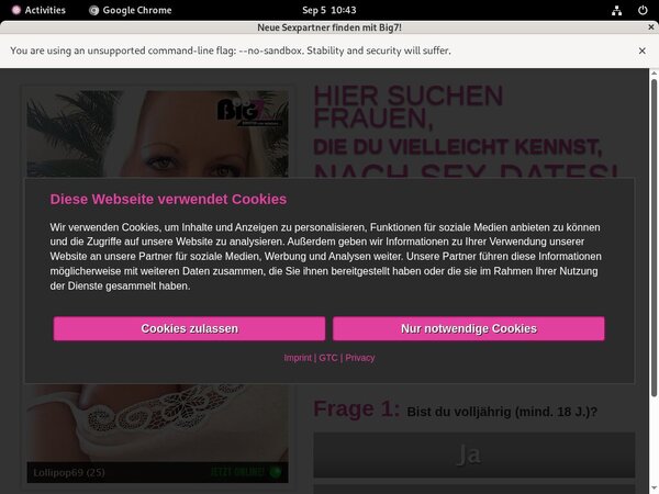 Yoursecretdream.com Net