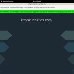 Kitty’s Kuriosities Reduced Price