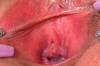 Gapemypussy.com Epoch Payment s2